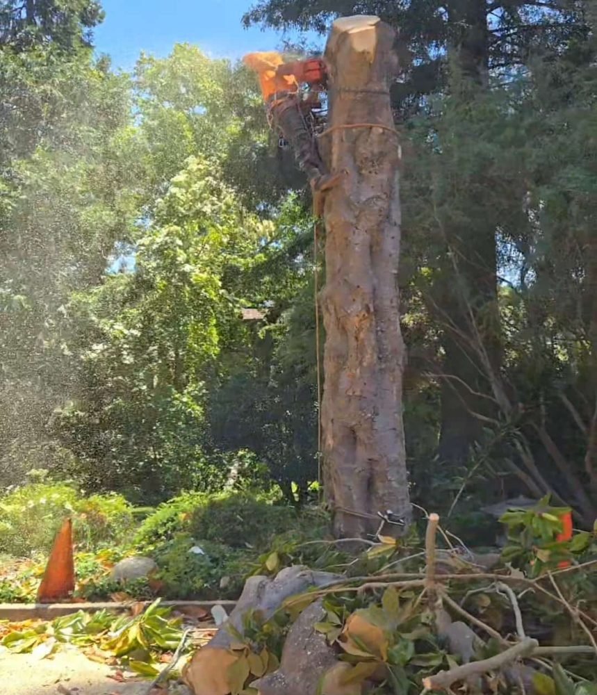 Screenshot_20250919_140724_Gallery