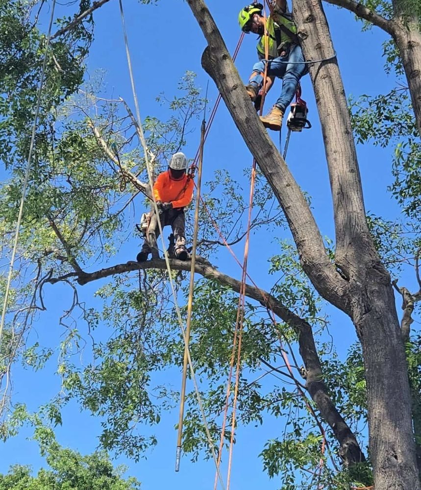 Screenshot_20250919_141558_Gallery