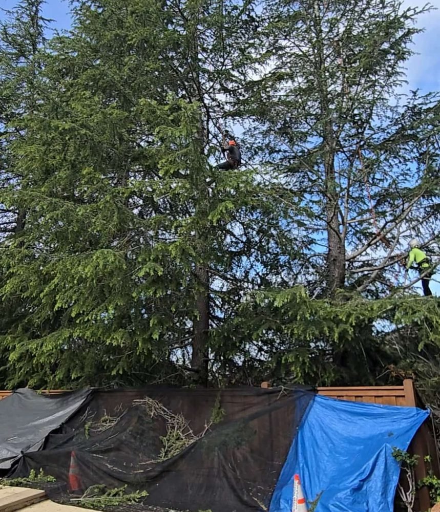 Screenshot_20250919_141818_Gallery