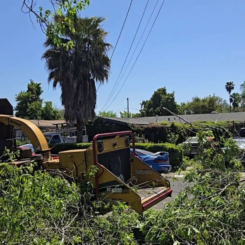 Screenshot_20250919_141905_Gallery