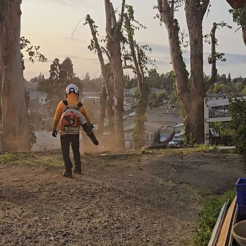 Screenshot_20250919_142006_Gallery