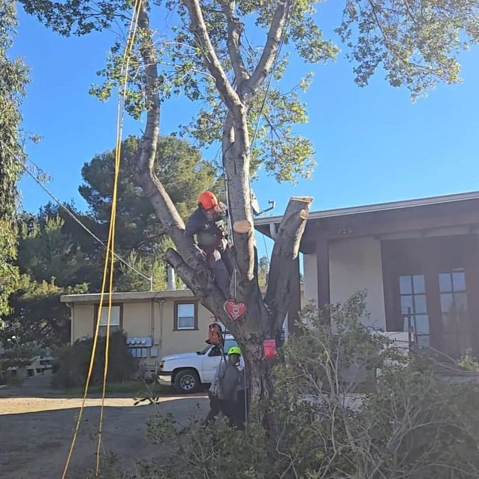 Screenshot_20250919_142348_Gallery