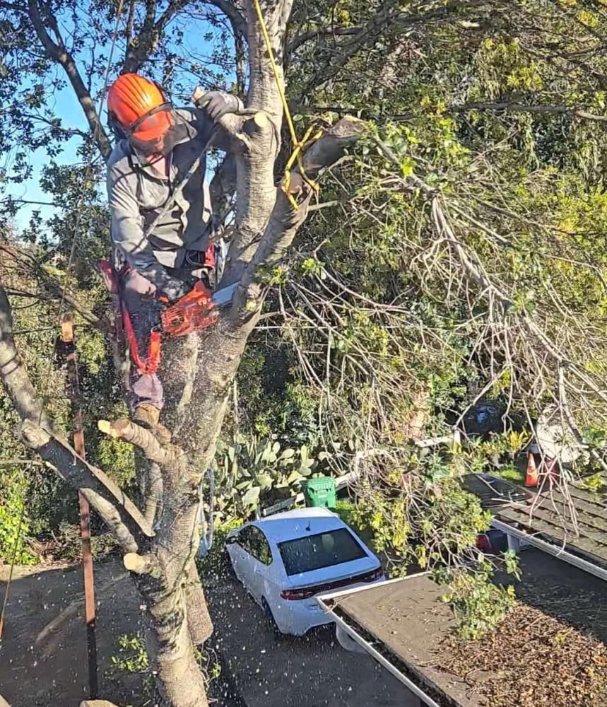 Screenshot_20250919_142418_Gallery