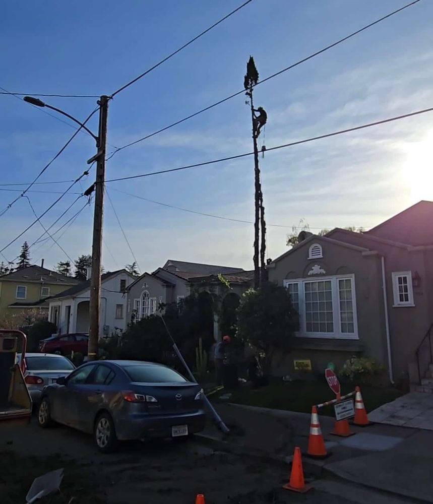 Screenshot_20250919_142437_Gallery