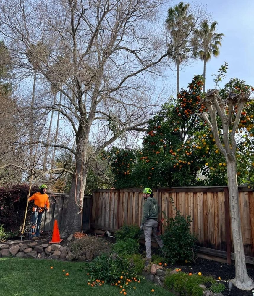 Screenshot_20250919_142459_Gallery