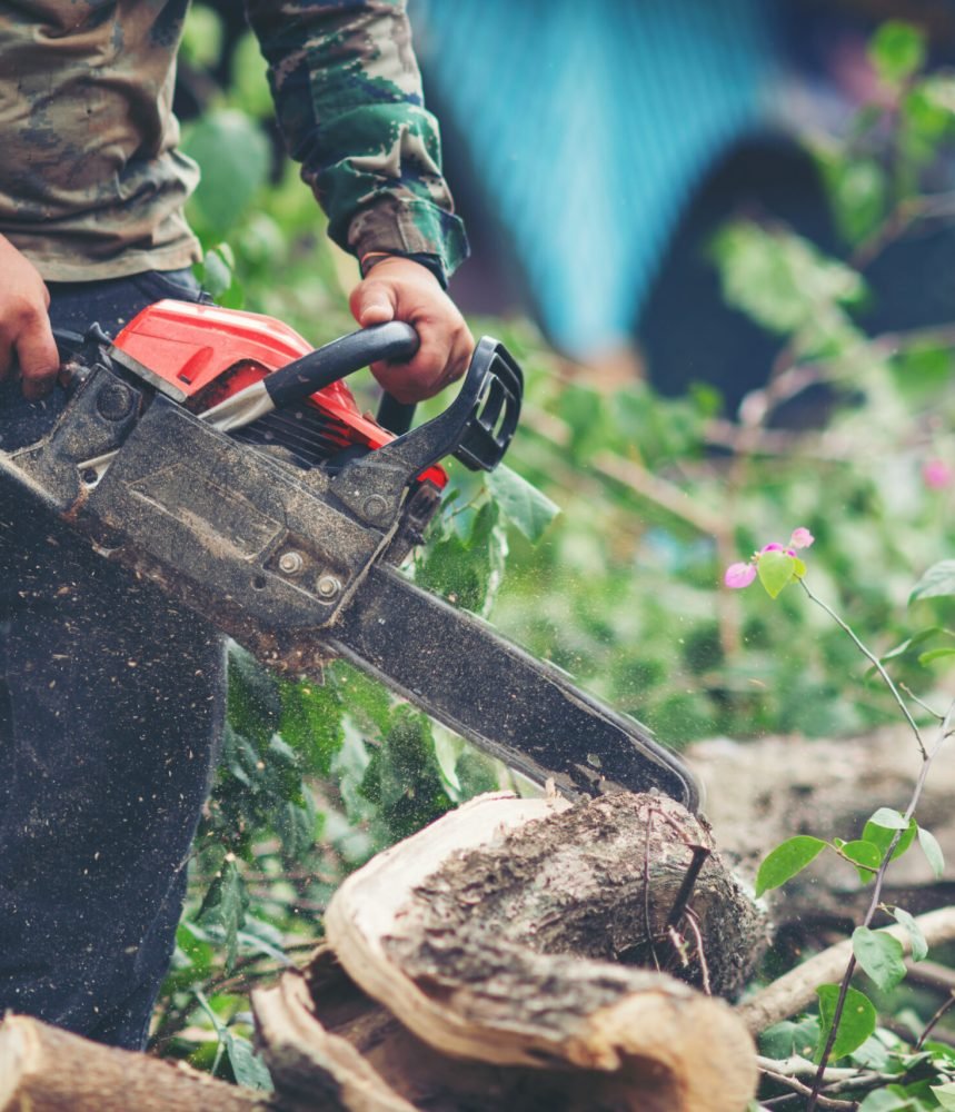 Asian man cutting trees using an electrical chainsaw