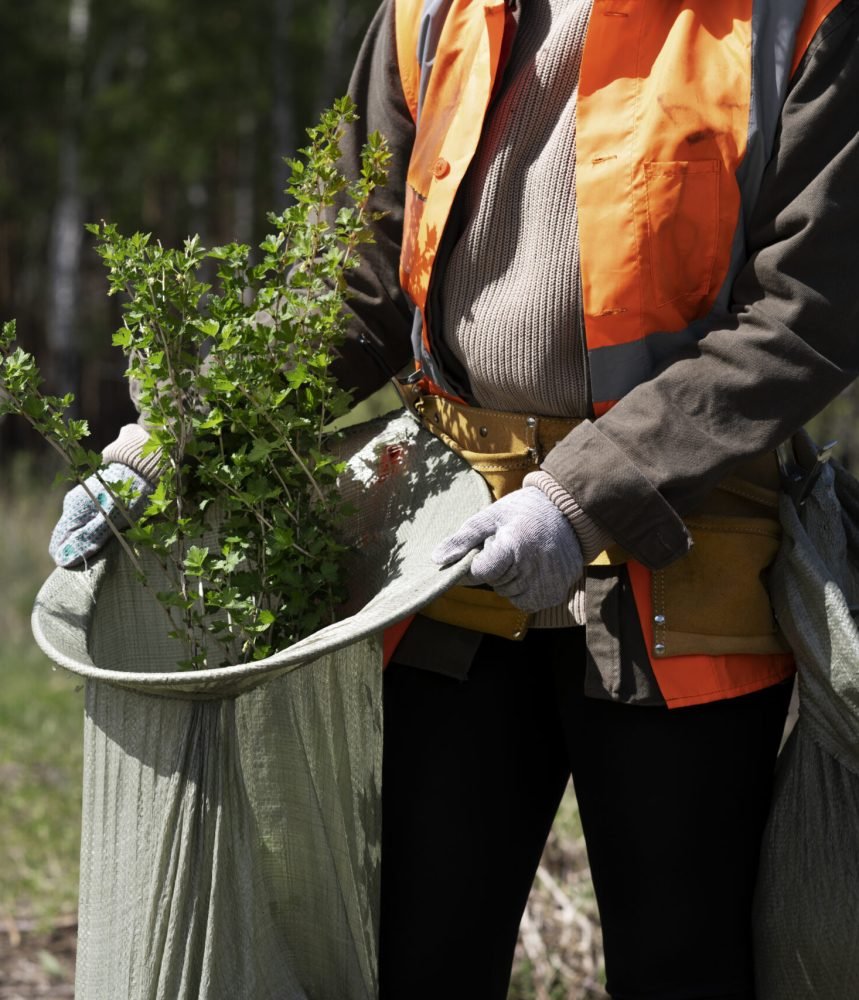 reforestation-done-by-voluntary-group