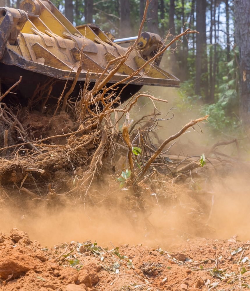 With the use of tractors and skid steers, land was cleared roots to prepare for housing subdivision development